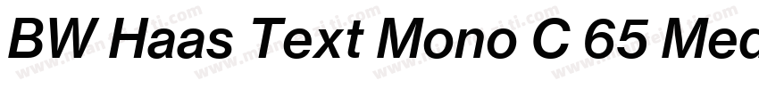 BW Haas Text Mono C 65 Medium字体转换
